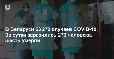 В Беларуси 63 270 случаев COVID-19. За сутки заразились 273 человека, шесть умерли - news.tut.by - Белоруссия