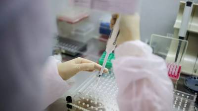 В мире за сутки выявили 212 тысяч случаев коронавируса - russian.rt.com