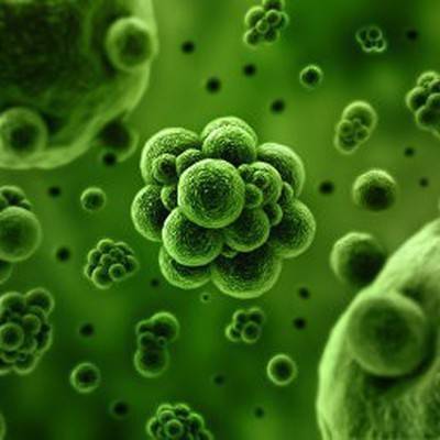 Итальянские ученые обнаружили два разных штамма коронавируса на севере страны - radiomayak.ru