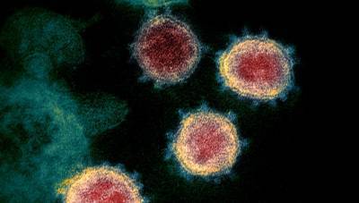 GH: в Южной Корее обнаружен очень заразный штамм коронавируса - vesti.ru - Китай - Южная Корея