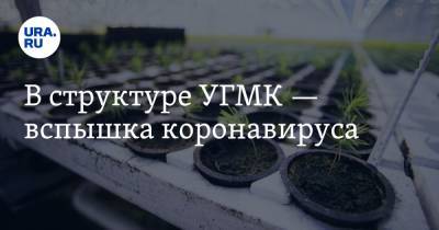 В структуре УГМК — вспышка коронавируса - ura.news