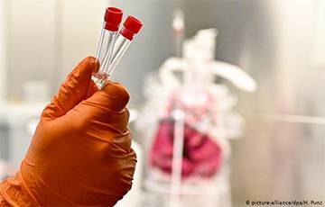 В Испании завершили крупнейшее европейское исследование на наличие антител к коронавирусу - charter97.org - Испания