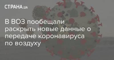 В ВОЗ пообещали раскрыть новые данные о передаче коронавируса по воздуху - strana.ua - Украина
