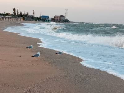 Губернатор области сообщил о проверках курортов Азовского моря - inform.zp.ua