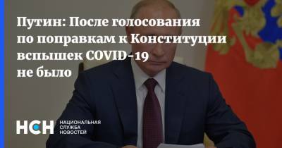 Владимир Путин - Элла Памфилова - Путин: После голосования по поправкам к Конституции вспышек COVID-19 не было - nsn.fm - Россия