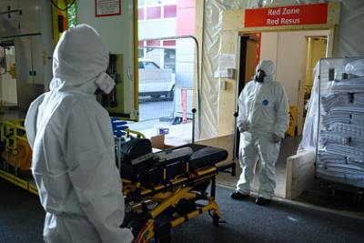 Энтони Фаучи - Инфекционист объявил о начале глобальной пандемии коронавируса - lenta.ru - Сша - Бразилия - Юар