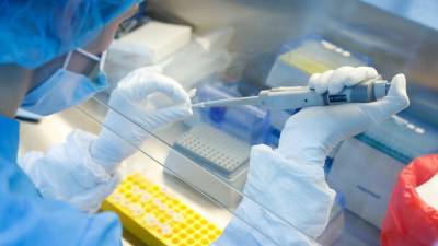 Учёные выявили 28 нейтрализующих коронавирус антител - russian.rt.com - Израиль