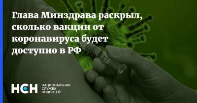 Михаил Мурашко - Глава Минздрава раскрыл, сколько вакцин от коронавируса будет доступно в РФ - nsn.fm - Россия