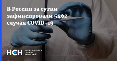 В России за сутки зафиксировали 5462 случая COVID-19 - nsn.fm - Россия