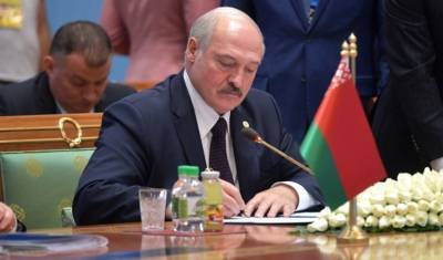 Александр Лукашенко - Белорусские СМИ: Лукашенко перенес инфаркт, а не коронавирус - newizv.ru - Белоруссия