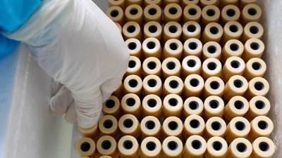 Более 31 млн тестов на коронавирус проведено в России - russian.rt.com - Россия