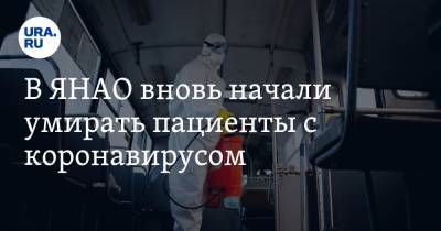В ЯНАО вновь начали умирать пациенты с коронавирусом - ura.news - округ Янао - Ноябрьск