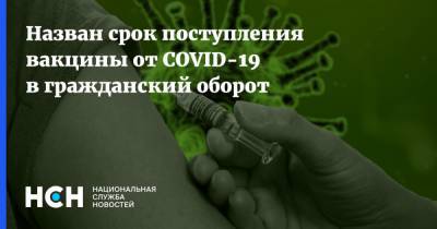 Назван срок поступления вакцины от COVID-19 в гражданский оборот - nsn.fm - Россия