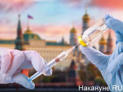 Владимир Путин - Массовая вакцинация от коронавируса в России начнется в октябре – РФПИ - nakanune.ru - Россия
