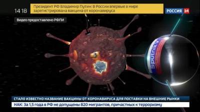 Спутник V: отечественная вакцина не содержит компонентов вируса COVID-19. Новости на "России 24" - vesti.ru - Россия