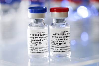 В Бразилии начали подготовку к тестированию российской вакцины от коронавируса - lenta.ru - Бразилия