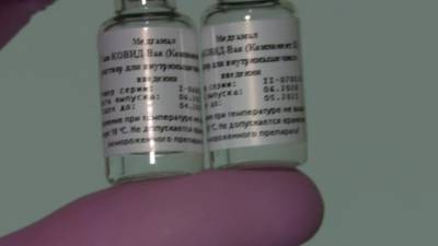 Российскую вакцину от коронавируса планируют использовать более 20 стран - vesti.ru - Россия - Москва - Сша - Филиппины - Сербия