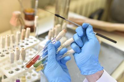 Более 31,3 миллиона тестов на коронавирус проведено в России - vm.ru - Россия - Москва