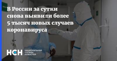 В России за сутки снова выявили более 5 тысяч новых случаев коронавируса - nsn.fm - Россия