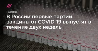 Владимир Путин - В России первые партии вакцины от COVID-19 выпустят в течение двух недель - tvrain.ru - Россия