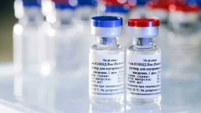 В ВОЗ прокомментировали регистрацию вакцины от COVID-19 в России - russian.rt.com - Россия
