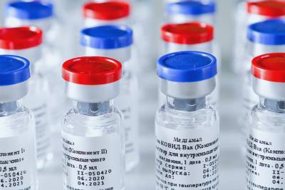 ВОЗ прокомментировала регистрацию вакцины от коронавируса в РФ - vm.ru - Россия