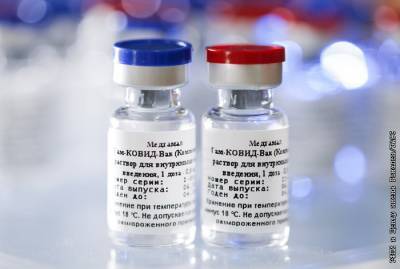 Российская вакцина от коронавируса появится в Латинской Америке - interfax.ru - Россия - Москва - Бразилия - Brazil - штат Парана
