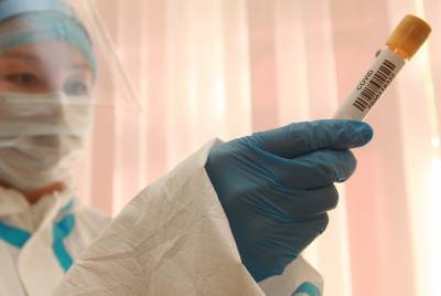 Более 31,5 миллиона тестов на коронавирус проведено в России - vm.ru - Россия - Москва