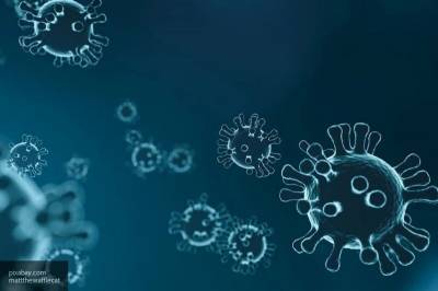 Пандемия коронавируса: самое важное за 14 августа - nation-news.ru - Россия