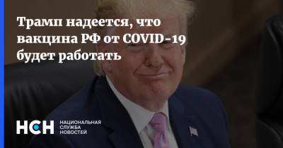 Дональд Трамп - Трамп надеется, что вакцина РФ от COVID-19 будет работать - nsn.fm - Россия - Сша