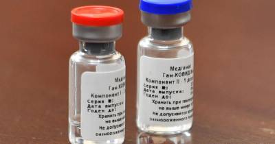 Александр Гинцбург - Россию планируют полностью обеспечить вакциной от COVID-19 за год - ren.tv - Россия