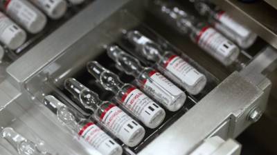 Александр Гинцбург - Гинцбург назвал сроки обеспечения россиян вакциной от коронавируса - russian.rt.com - Россия
