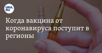 Александр Гинцбург - Когда вакцина от коронавируса поступит в регионы. СРОКИ - ura.news