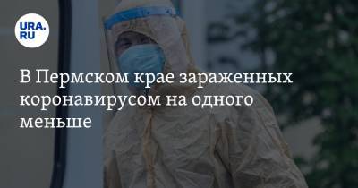 В Пермском крае зараженных коронавирусом на одного меньше - ura.news - Пермский край