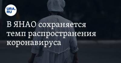 В ЯНАО сохраняется темп распространения коронавируса - ura.news - округ Янао - Ямал