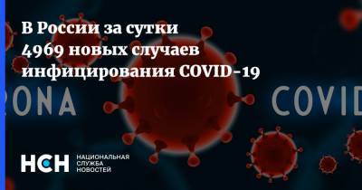 В России за сутки 4969 новых случаев инфицирования COVID-19 - nsn.fm - Россия
