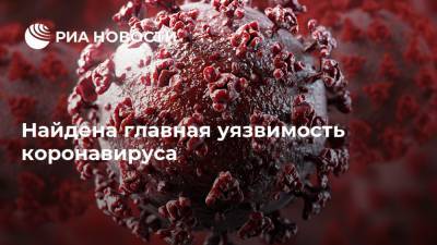 Найдена главная уязвимость коронавируса - ria.ru - Москва - Сша