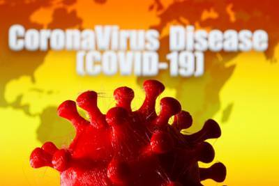 Число заразившихся коронавирусом в мире превысило 18 миллионов - lenta.ru