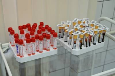 Более 28,7 миллионов тестов на коронавирус провели в России - vm.ru - Россия