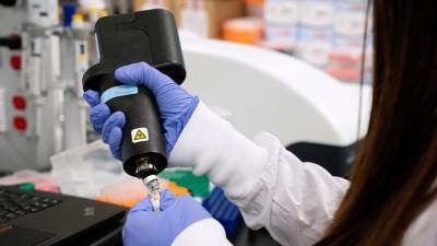 Ринат Максютов - «Вектор» начнёт производство вакцины от коронавируса в ноябре - russian.rt.com - Россия