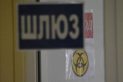 Ещё 6 человек с коронавирусом умерли в Воронежской области - moe-online.ru - Воронежская обл.