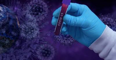 Ученые не смогли определить источник коронавируса - ren.tv - Франция - Китай - Ухань