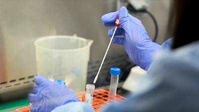 Более 34,6 млн тестов на коронавирус проведено в России - russian.rt.com - Россия