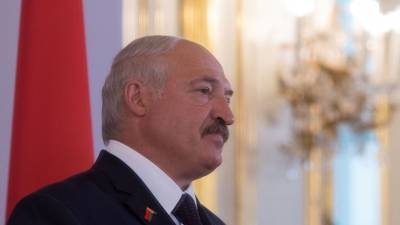 Александр Лукашенко - Лукашенко заявил, что «тёрки на улицах» мешают бороться с COVID-19 - russian.rt.com - Белоруссия