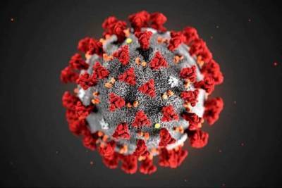Американские учёные создали необычную вакцину от коронавируса - versia.ru - Сша - Вашингтон