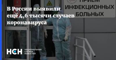 В России выявили ещё 4,6 тысячи случаев коронавируса - nsn.fm - Россия - Санкт-Петербург - Москва