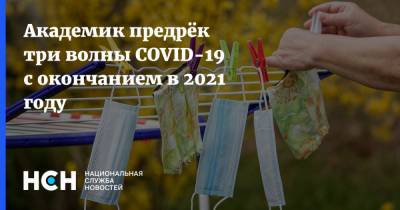 Михаил Пальцев - Академик предрёк три волны COVID-19 с окончанием в 2021 году - nsn.fm - Россия