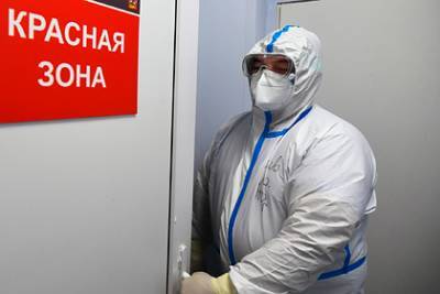 Александр Гинцбург - В России изучат вторичный иммунитет к коронавирусу после вакцинации - lenta.ru - Россия