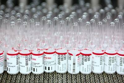 Владимир Путин - Путин подтвердил отправку российской вакцины от коронавируса в Белоруссию - lenta.ru - Белоруссия