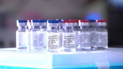 Александр Рыжиков - Вторую вакцину от коронавируса зарегистрируют так же быстро, как и первую - vesti.ru - Россия